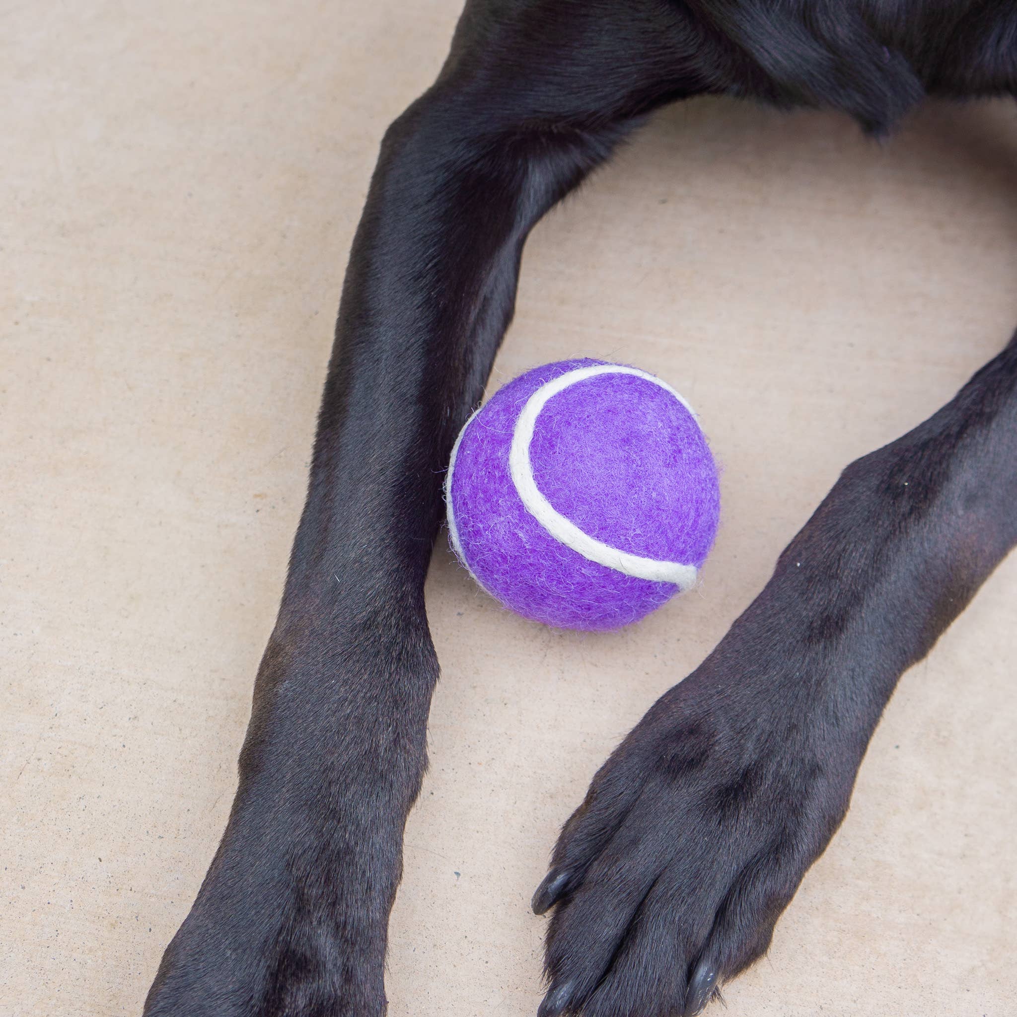 Pet Toy Tennis Wool Ball