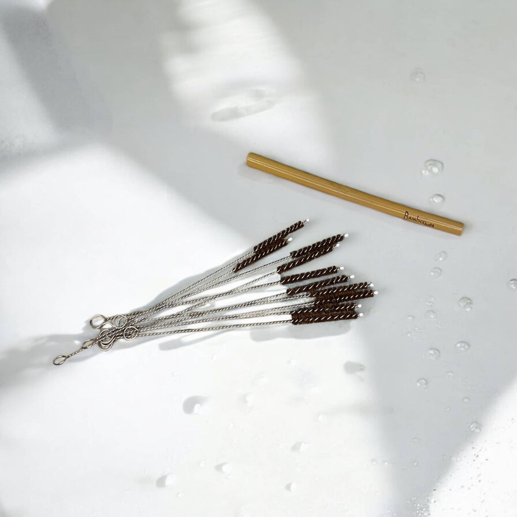 Coconut Fiber Straw Cleaner