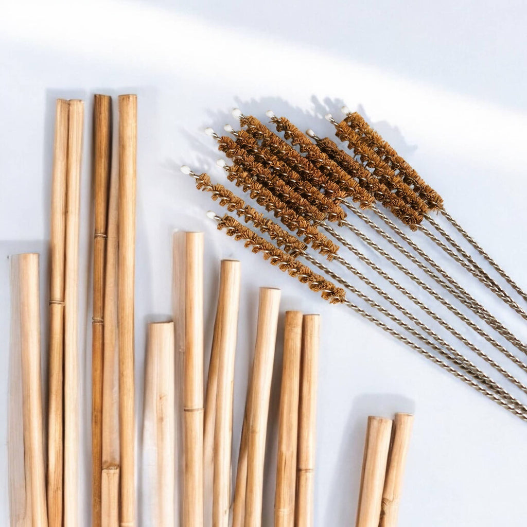 Coconut Fiber Straw Cleaner