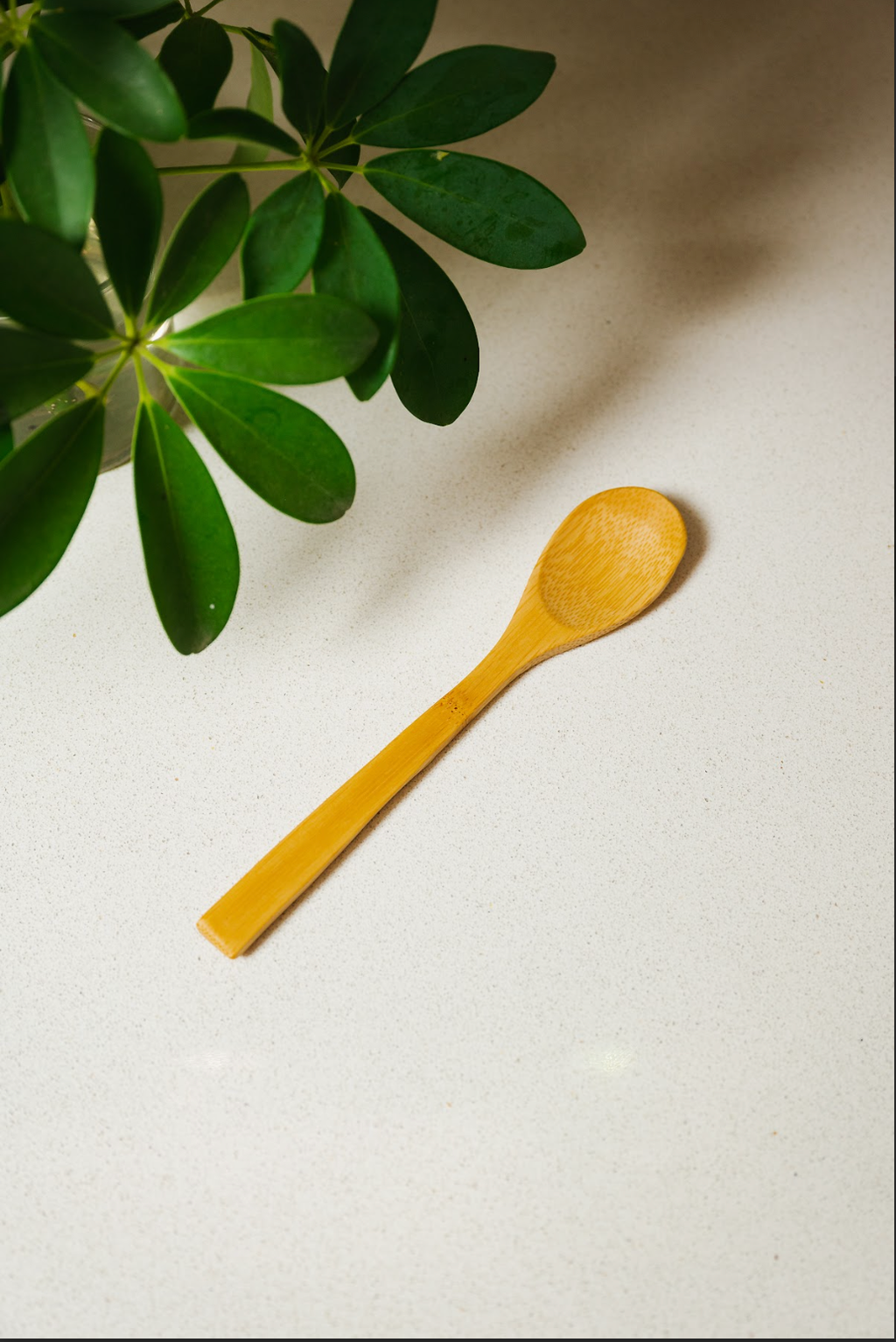 Individual Bamboo Utensil