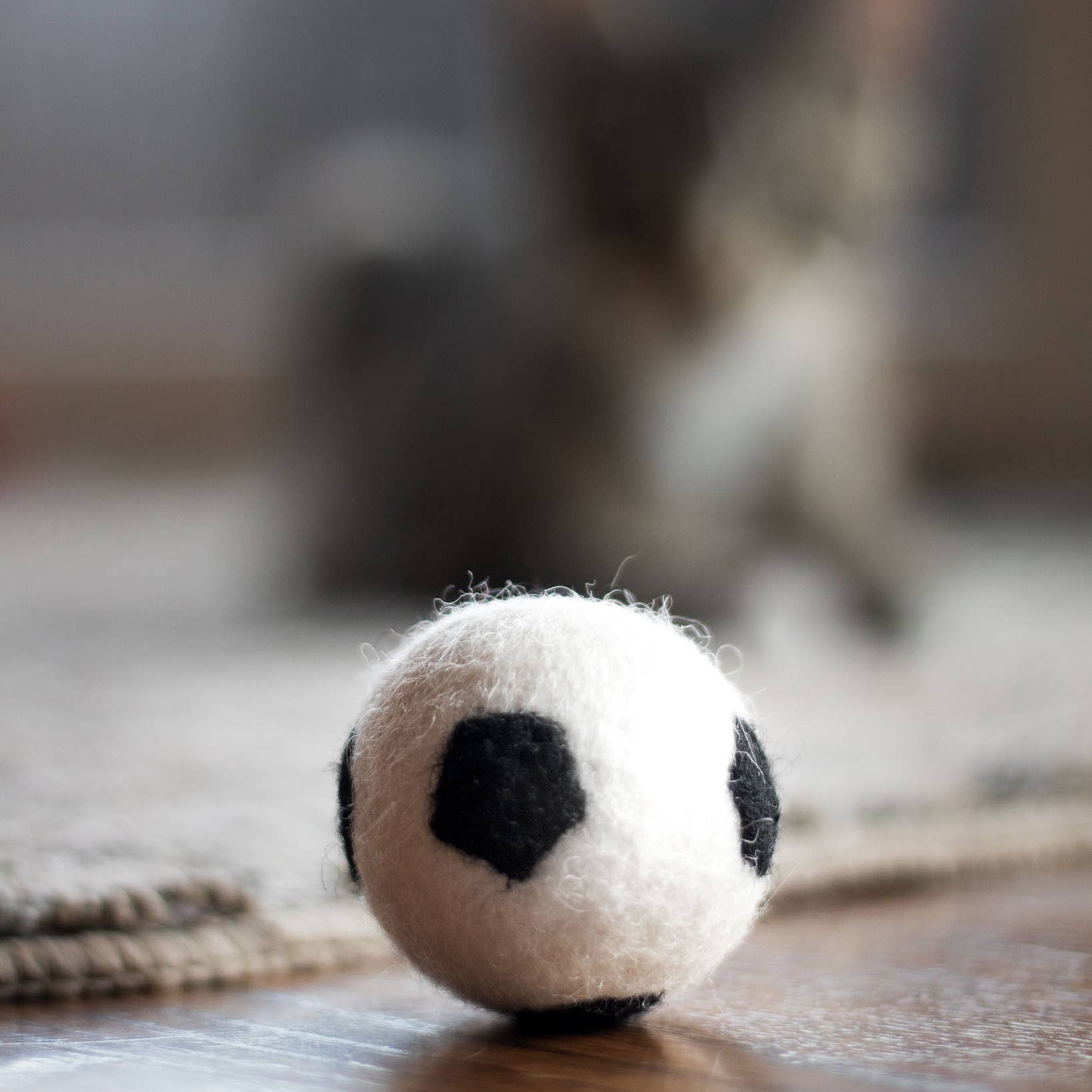 Sporty Felt Wool Eco Pet Toys
