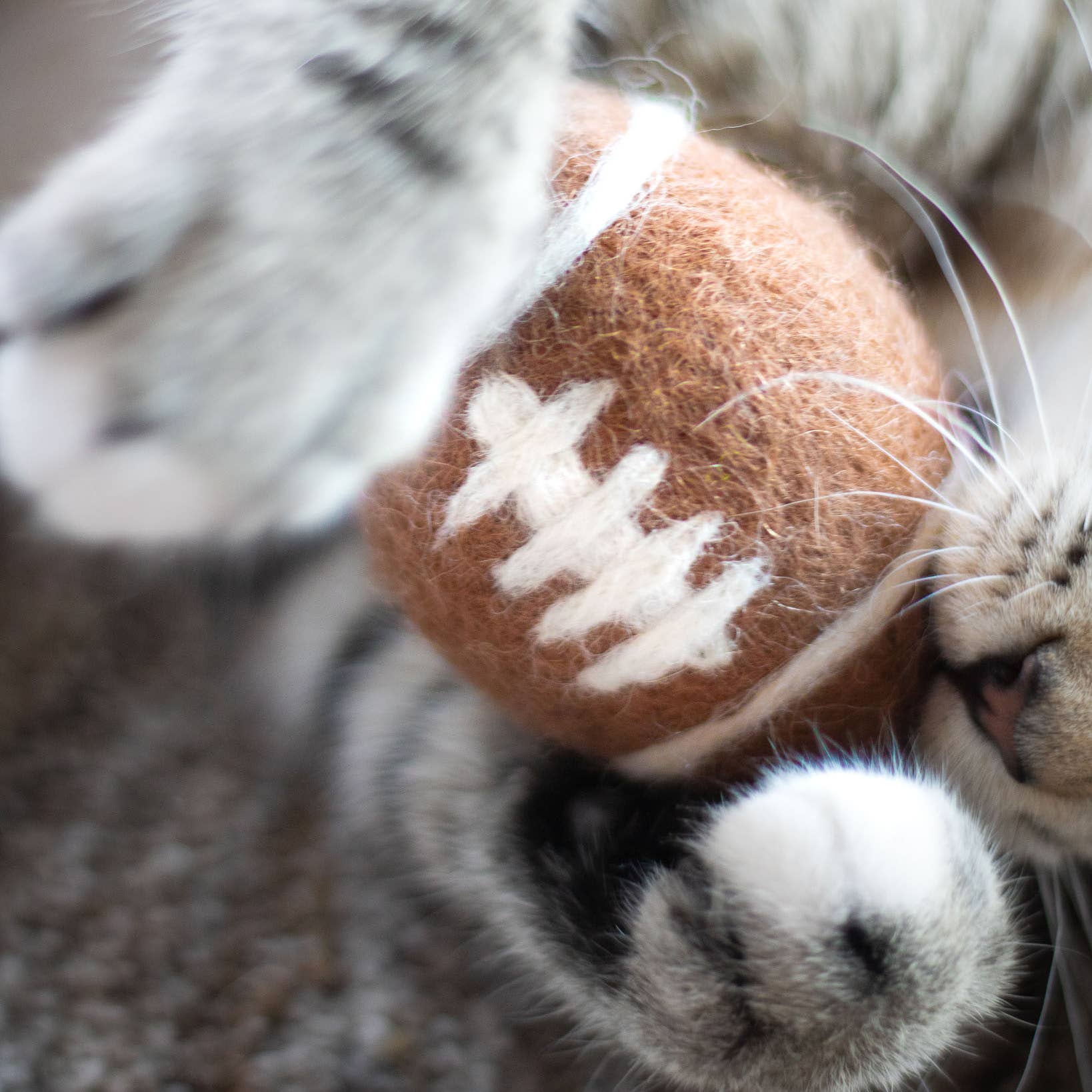 Sporty Felt Wool Eco Pet Toys