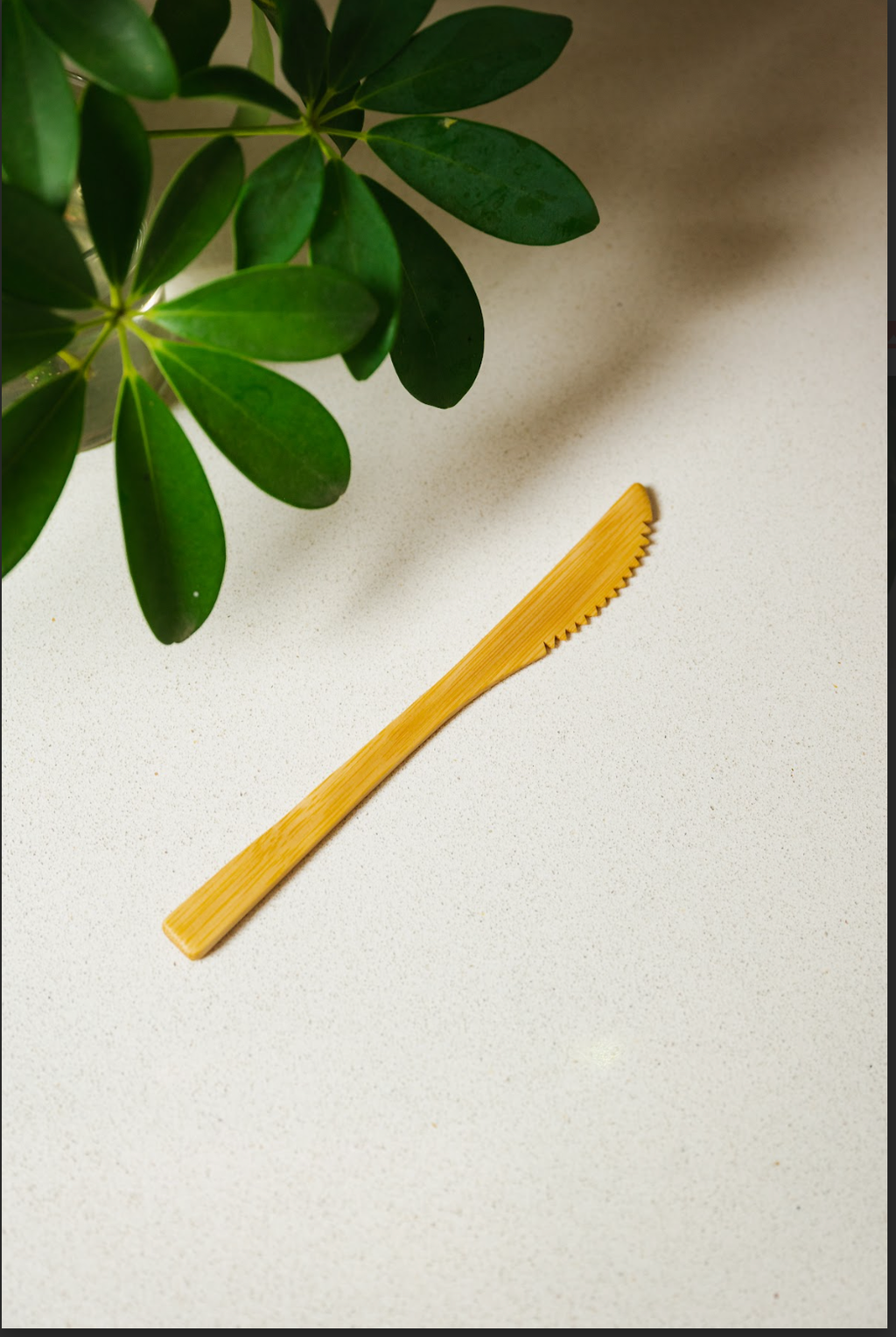 Individual Bamboo Utensil