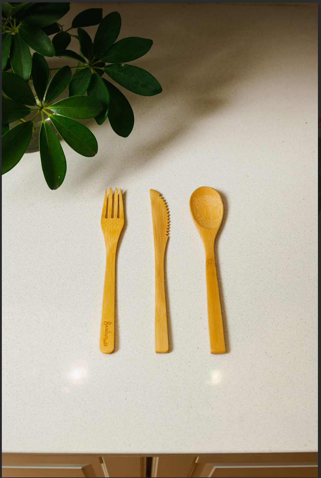 Individual Bamboo Utensil