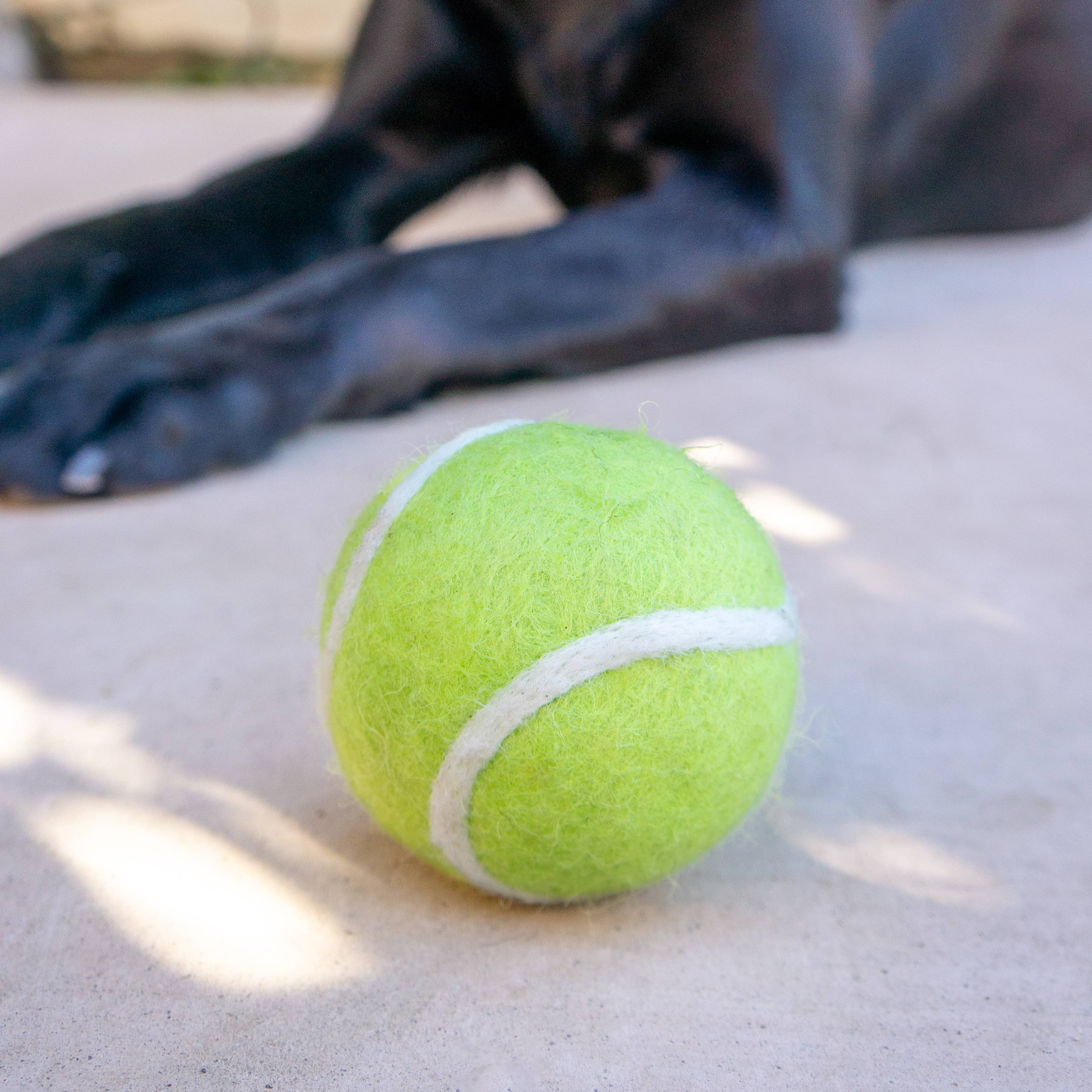 Dryer Balls: Tennis Ball
