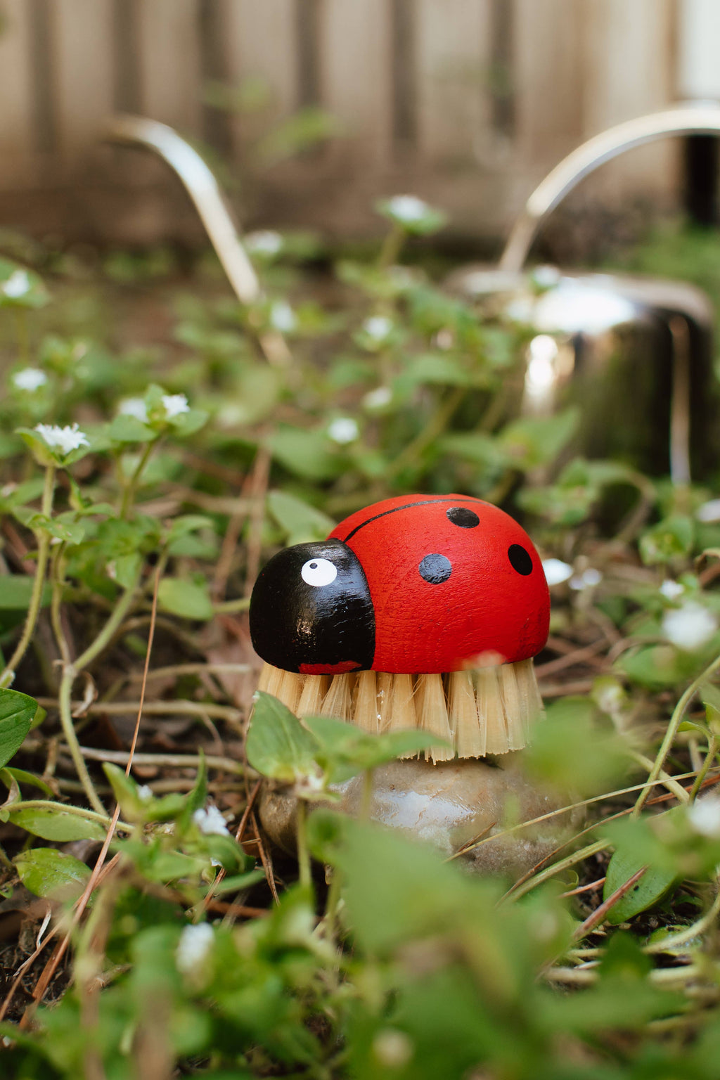 Ladybug Brush