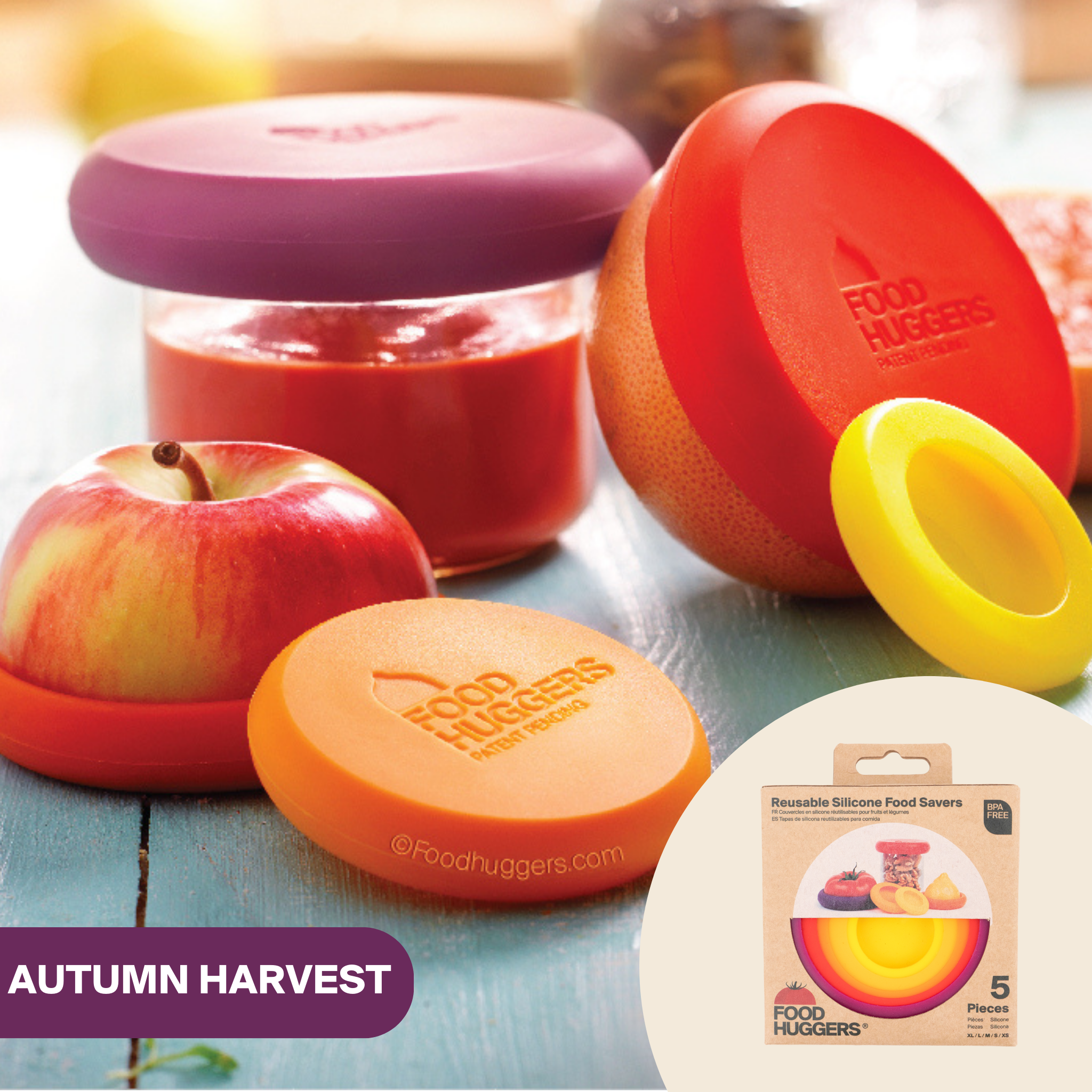 Autumn Harvest Food Huggers - Set of 5